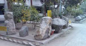 Panchagarh